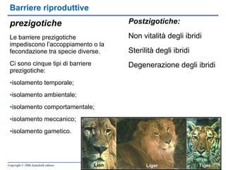 Barriere riproduttive Postzigotiche: Non vitalità degli ibridi Sterilità degli ibridi Degenerazione degli ibridi prezigotiche Le barriere prezigotiche impediscono l’accoppiamento o la fecondazione tra specie diverse. Ci sono cinque tipi di barriere prezigotiche: isolamento temporale; isolamento ambientale; isolamento comportamentale; isolamento meccanico; isolamento gametico. 