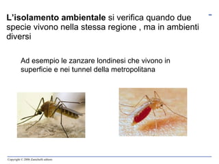 L’isolamento ambientale  si verifica quando due specie vivono nella stessa regione , ma in ambienti diversi Ad esempio le zanzare londinesi che vivono in superficie e nei tunnel della metropolitana 