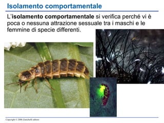 L’ isolamento comportamentale  si verifica perché vi è poca o nessuna attrazione sessuale tra i maschi e le femmine di specie differenti. Isolamento comportamentale 