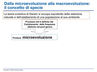 Dalla microevoluzione alla macroevoluzione: il concetto di specie La teoria evolutiva di Darwin si occupa soprattutto della selezione naturale e dell’adattamento di una popolazione al suo ambiente Processo che è definito dal  Cambiamento  delle frequenze alleliche nel pool genico Produce  microevoluzione 