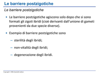 Le barriere postzigotiche Le barriere postzigotiche agiscono solo dopo che si sono formati gli zigoti ibridi (cioè derivanti dall’unione di gameti provenienti da due specie diverse). Esempio di barriere postzigotiche sono sterilità degli ibridi; non-vitalità degli ibridi; degenerazione degli ibridi. Le barriere postzigotiche 