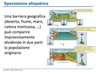 Una barriera geografica (deserto, fiume, mare, catena montuosa, …) può comparire improvvisamente dividendo in due parti la popolazione originaria  Speciazione allopatrica 