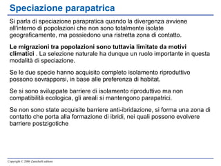 Si parla di speciazione parapratica quando la divergenza avviene all'interno di popolazioni che non sono totalmente isolate geograficamente, ma possiedono una ristretta zona di contatto.  Le migrazioni tra popolazioni sono tuttavia limitate da motivi climatici  . La selezione naturale ha dunque un ruolo importante in questa modalità di speciazione. Se le due specie hanno acquisito completo isolamento riproduttivo possono sovrapporsi, in base alle preferenza di habitat.  Se si sono sviluppate barriere di isolamento riproduttivo ma non compatibilità ecologica, gli areali si mantengono parapatrici.  Se non sono state acquisite barriere anti-ibridazione, si forma una zona di contatto che porta alla formazione di ibridi, nei quali possono evolvere barriere postzigotiche Speciazione parapatrica 