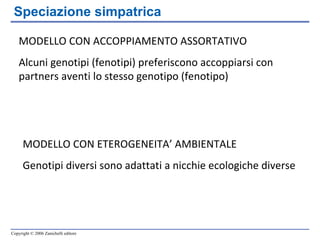 MODELLO CON ACCOPPIAMENTO ASSORTATIVO Alcuni genotipi (fenotipi) preferiscono accoppiarsi con partners aventi lo stesso genotipo (fenotipo) MODELLO CON ETEROGENEITA’ AMBIENTALE Genotipi diversi sono adattati a nicchie ecologiche diverse Speciazione simpatrica 
