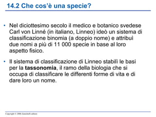 14.2 Che cos’è una specie? Nel diciottesimo secolo il medico e botanico svedese Carl von Linné (in italiano, Linneo) ideò un sistema di classificazione binomia (a doppio nome) e attribuì due nomi a più di 11 000 specie in base al loro aspetto fisico. Il sistema di classificazione di Linneo stabilì le basi per la  tassonomia , il ramo della biologia che si occupa di classificare le differenti forme di vita e di dare loro un nome.  