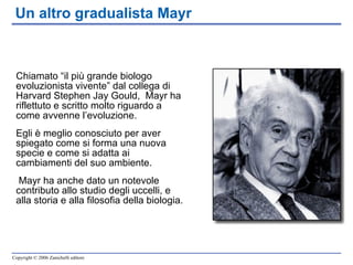 Un altro gradualista Mayr Chiamato “il più grande biologo evoluzionista vivente” dal collega di Harvard Stephen Jay Gould,  Mayr ha riflettuto e scritto molto riguardo a come avvenne l’evoluzione.  Egli è meglio conosciuto per aver spiegato come si forma una nuova specie e come si adatta ai cambiamenti del suo ambiente. Mayr ha anche dato un notevole contributo allo studio degli uccelli, e alla storia e alla filosofia della biologia.  