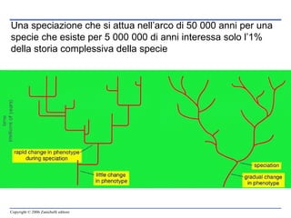 Una speciazione che si attua nell’arco di 50 000 anni per una specie che esiste per 5 000 000 di anni interessa solo l’1% della storia complessiva della specie 