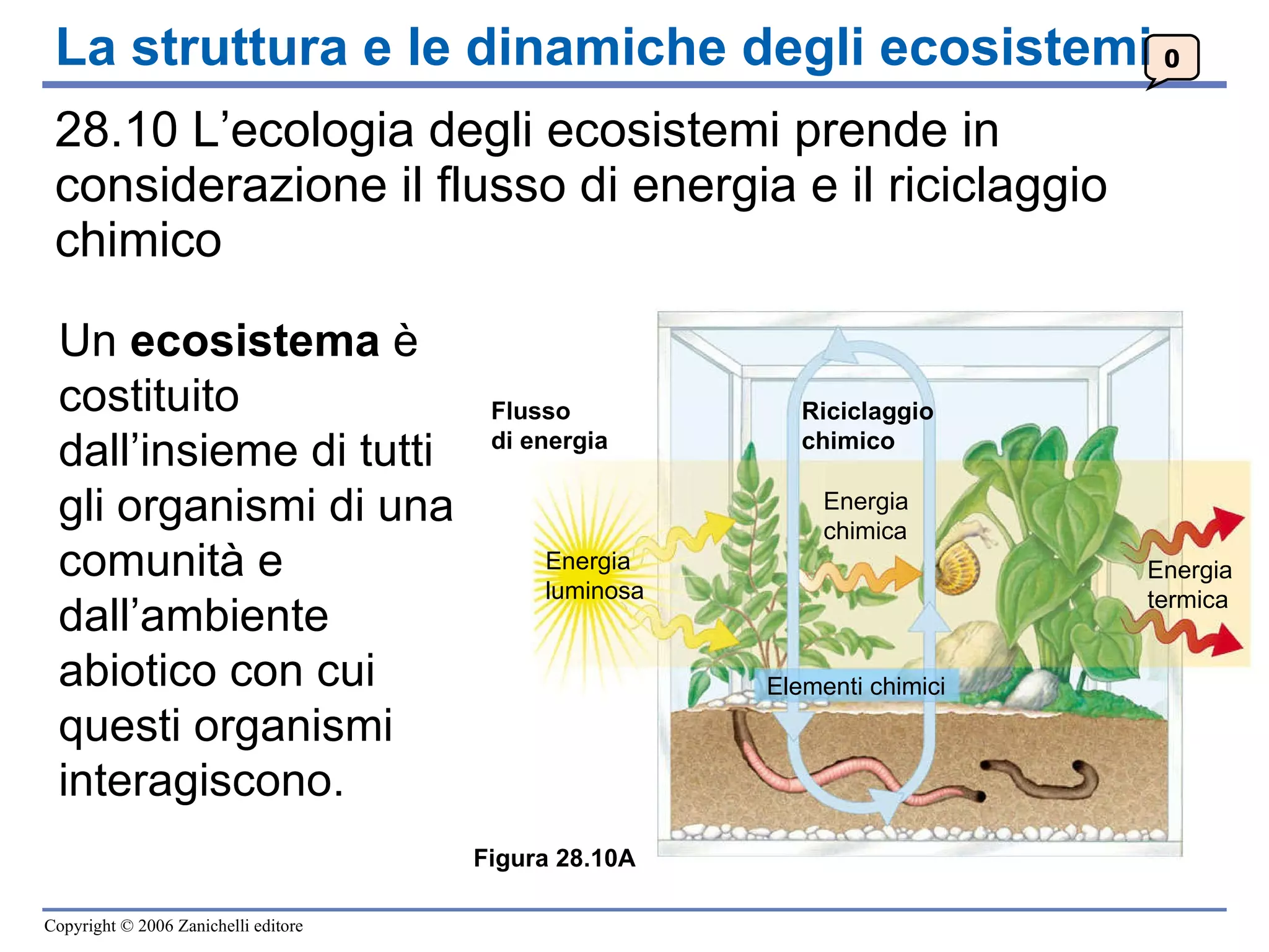 5 c 2010 ecosistemi cap28 | PPT, image size:2048x1536