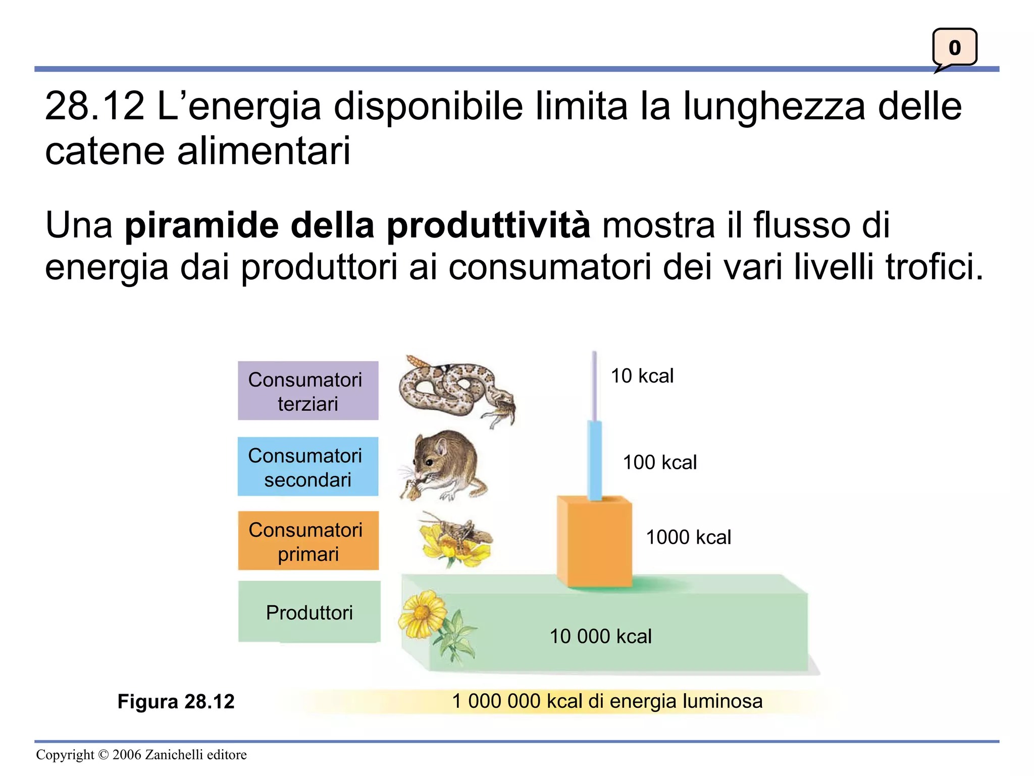 5 c 2010 ecosistemi cap28 | PPT, image size:2048x1536