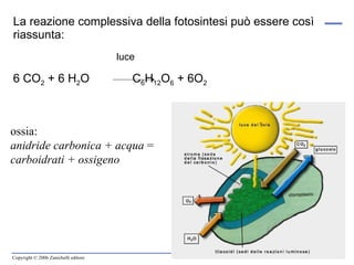 La reazione complessiva della fotosintesi può essere così riassunta: luce 6 CO 2  + 6 H 2 O  C 6 H 12 O 6  + 6O 2  ossia: anidride carbonica + acqua  =  carboidrati + ossigeno   