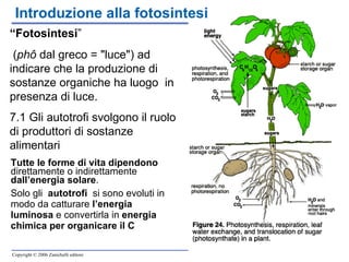 Tutte le forme di vita dipendono  direttamente o indirettamente  dall’energia solare .  Solo gli  autotrofi  si sono evoluti in modo da catturare  l’energia luminosa  e convertirla in  energia chimica per organicare il C Introduzione alla fotosintesi “ Fotosintesi ”  ( phô   dal greco  = "luce") ad indicare che la produzione di sostanze organiche ha luogo  in presenza di luce. 7.1 Gli autotrofi svolgono il ruolo di produttori di sostanze alimentari  