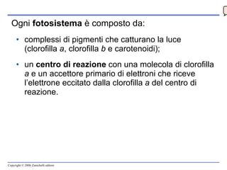 Ogni  fotosistema  è composto da: complessi di pigmenti che catturano la luce (clorofilla  a , clorofilla  b  e carotenoidi); un  centro di reazione  con una molecola di clorofilla  a  e un accettore primario di elettroni che riceve l’elettrone eccitato dalla clorofilla  a  del centro di reazione.  0 