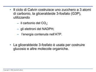 Il ciclo di Calvin costruisce uno zucchero a 3 atomi di carbonio, la gliceraldeide 3-fosfato (G3P), utilizzando  il carbonio del CO 2 ;  gli elettroni del NADPH; l’energia contenuta nell’ATP. La gliceraldeide 3-fosfato è usata per costruire glucosio e altre molecole organiche.   Figura  7.10 1 