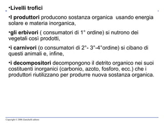 Livelli trofici I produttori  producono sostanza organica  usando energia solare e materia inorganica,  gli erbivori  ( consumatori di 1° ordine) si nutrono dei vegetali così prodotti,  i carnivori  (o consumatori di 2°- 3°-4°ordine) si cibano di questi animali e, infine,  i decompositori  decompongono il detrito organico nei suoi costituenti inorganici (carbonio, azoto, fosforo, ecc.) che i produttori riutilizzano per produrre nuova sostanza organica. 