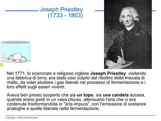 Nel 1771, lo scienziato e religioso inglese  Joseph Priestley   visitando una fabbrica di birra, era stato così colpito dal ribollire della miscela di malto, da voler studiare i gas liberati nel processo di fermentazione e i loro effetti sugli esseri viventi.  Aveva ben presto scoperto che sia  un topo , sia  una candela  accesa, quando erano posti in un vaso chiuso, alteravano l'aria che vi era contenuta trasformandola in "aria impura", con l'emissione di sostanze analoghe a quelle liberate nella fermentazione.  Joseph Priestley (1733 - 1803) 
