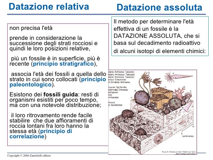 Datazione relativa rispetto alla datazione assoluta