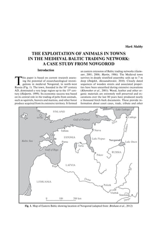 Mark Maltby
THE EXPLOITATION OF ANIMALS IN TOWNS
IN THE MEDIEVAL BALTIC TRADING NETWORK:
A CASE STUDY FROM NOVGOROD
Introduction
T
his paper is based on current research assess-
ing the potential of zooarchaeological investi-
gations in medieval Novgorod, in north-west
Russia (Fig. 1). The town, founded in the 10th
century
AD, dominated a very large region up to the 15th
cen-
tury (Halperin, 1999). Its economic success was based
on its central role in the trading of pelts from animals,
such as squirrels, beavers and martens, and other forest
produce acquired from its extensive territory. It formed
an eastern extension of Baltic trading networks (Gaim-
ster, 2001; 2006; Martin, 1986). The Medieval town
survives in deeply stratified anaerobic soils up to 7 m
deep (Dolgikh, Alexsandrovskii, 2010). Closely dated
sequences of wooden streets and associated proper-
ties have been unearthed during extensive excavations
(Khoroshev et al., 2001). Wood, leather and other or-
ganic materials are extremely well preserved and ex-
cavations over the last 80 years have produced nearly
a thousand birch-bark documents. These provide in-
formation about court cases, trade, tribute and other
Fig. 1. Map of Eastern Baltic showing location of Novgorod (adapted from: Brisbane et al., 2012)
 