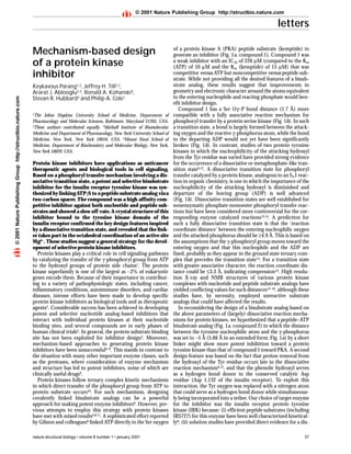 letters
nature structural biology • volume 8 number 1 • january 2001 37
Mechanism-based design
of a protein kinase
inhibitor
Keykavous Parang1,2, Jeffrey H. Till2,3,
Ararat J. Ablooglu2,4, Ronald A. Kohanski4,
Stevan R. Hubbard3 and Philip A. Cole1
1The Johns Hopkins University School of Medicine, Department of
Pharmacology and Molecular Sciences, Baltimore, Maryland 21205, USA.
2These authors contributed equally. 3Skirball Institute of Biomolecular
Medicine and Department of Pharmacology, New York University School of
Medicine, New York, New York 10016, USA. 4Mount Sinai School of
Medicine, Department of Biochemistry and Molecular Biology, New York,
New York 10029, USA.
Protein kinase inhibitors have applications as anticancer
therapeutic agents and biological tools in cell signaling.
Based on a phosphoryl transfer mechanism involving a dis-
sociative transition state, a potent and selective bisubstrate
inhibitor for the insulin receptor tyrosine kinase was syn-
thesized by linking ATPγS to a peptide substrate analog via a
two-carbon spacer. The compound was a high affinity com-
petitive inhibitor against both nucleotide and peptide sub-
strates and showed a slow off-rate. A crystal structure of this
inhibitor bound to the tyrosine kinase domain of the
insulin receptor confirmed the key design features inspired
by a dissociative transition state, and revealed that the link-
er takes part in the octahedral coordination of an active site
Mg2+. These studies suggest a general strategy for the devel-
opment of selective protein kinase inhibitors.
Protein kinases play a critical role in cell signaling pathways
by catalyzing the transfer of the γ-phosphoryl group from ATP
to the hydroxyl groups of protein side chains1. The protein
kinase superfamily is one of the largest as ∼2% of eukaryotic
genes encode them. Because of their importance in contribut-
ing to a variety of pathophysiologic states, including cancer,
inflammatory conditions, autoimmune disorders, and cardiac
diseases, intense efforts have been made to develop specific
protein kinase inhibitors as biological tools and as therapeutic
agents2. Considerable success has been achieved in developing
potent and selective nucleotide analog-based inhibitors that
interact with individual protein kinases at their nucleotide
binding sites, and several compounds are in early phases of
human clinical trials2. In general, the protein substrate binding
site has not been exploited for inhibitor design3. Moreover,
mechanism-based approaches to generating protein kinase
inhibitors have been unsuccessful4–8. This stands in contrast to
the situation with many other important enzyme classes, such
as the proteases, where consideration of enzyme mechanism
and structure has led to potent inhibitors, some of which are
clinically useful drugs9.
Protein kinases follow ternary complex kinetic mechanisms
in which direct transfer of the phosphoryl group from ATP to
protein substrate occurs10. For such mechanisms, designing
covalently linked bisubstrate analogs can be a powerful
approach for making potent enzyme inhibitors9. However, pre-
vious attempts to employ this strategy with protein kinases
have met with mixed results4,8,11. A sophisticated effort reported
by Gibson and colleagues8 linked ATP directly to the Ser oxygen
of a protein kinase A (PKA) peptide substrate (kemptide) to
generate an inhibitor (Fig. 1a, compound 1). Compound 1 was
a weak inhibitor with an IC50 of 226 µM (compared to the Km
(ATP) of 10 µM and the Km (kemptide) of 15 µM) that was
competitive versus ATP but noncompetitive versus peptide sub-
strate. While not providing all the desired features of a bisub-
strate analog, these results suggest that improvements in
geometry and electronic character around the atoms equivalent
to the entering nucleophile and reacting phosphate would ben-
efit inhibitor design.
Compound 1 has a Ser Oγ–P bond distance (1.7 Å) more
compatible with a fully associative reaction mechanism for
phosphoryl transfer by a protein serine kinase (Fig. 1b). In such
a transition state, a bond is largely formed between the attack-
ing oxygen and the reactive γ-phosphorus atom, while the bond
to the departing ADP would not yet have been significantly
broken (Fig. 1b). In contrast, studies of two protein tyrosine
kinases in which the nucleophilicity of the attacking hydroxyl
from the Tyr residue was varied have provided strong evidence
for the occurrence of a dissociative or metaphosphate-like tran-
sition state6,12. A dissociative transition state for phosphoryl
transfer catalyzed by a protein kinase, analogous to an SN1 reac-
tion in organic chemistry, is one in which the importance of the
nucleophilicity of the attacking hydroxyl is diminished and
departure of the leaving group (ADP) is well advanced
(Fig. 1b). Dissociative transition states are well established for
nonenzymatic phosphate monoester phosphoryl transfer reac-
tions but have been considered more controversial for the cor-
responding enzyme catalyzed reactions13,14. A prediction for
such a fully dissociative transition state is that the ‘reaction
coordinate distance’ between the entering nucleophilic oxygen
and the attacked phosphorus should be ≥4.9 Å. This is based on
the assumptions that the γ-phosphoryl group moves toward the
entering oxygen and that this nucleophile and the ADP are
fixed, probably as they appear in the ground state ternary com-
plex that precedes the transition state14. For a transition state
with greater associative character, the reaction coordinate dis-
tance could be ≤3.3 Å, indicating compression14. High resolu-
tion X-ray and NMR structures of various protein kinase
complexes with nucleotide and peptide substrate analogs have
yielded conflicting values for such distances14–16, although these
studies have, by necessity, employed unreactive substrate
analogs that could have affected the results.
In reconsidering the design of a bisubstrate analog based on
the above parameters of (largely) dissociative reaction mecha-
nisms for protein kinases, we hypothesized that a peptide–ATP
bisubstrate analog (Fig. 1a, compound 2) in which the distance
between the tyrosine nucleophilic atom and the γ-phosphorus
was set to ∼5 Å (5.66 Å in an extended form; Fig. 1a) by a short
linker might show more potent inhibition toward a protein
tyrosine kinase than that of compound 1 toward PKA. A second
design feature was based on the fact that proton removal from
the hydroxyl of the Tyr residue occurs late in the dissociative
reaction mechanism6,12, and that the phenolic hydroxyl serves
as a hydrogen bond donor to the conserved catalytic Asp
residue (Asp 1,132 of the insulin receptor). To exploit this
interaction, the Tyr oxygen was replaced with a nitrogen atom
that could serve as a hydrogen bond donor while simultaneous-
ly being incorporated into a tether. Our choice of target enzyme
for the inhibitor was the insulin receptor protein tyrosine
kinase (IRK) because: (i) efficient peptide substrates (including
IRS727) for this enzyme have been well characterized kinetical-
ly6; (ii) solution studies have provided direct evidence for a dis-
©2001NaturePublishingGrouphttp://structbio.nature.com
© 2001 Nature Publishing Group http://structbio.nature.com
 