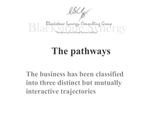 The pathways
The business has been classified
into three distinct but mutually
interactive trajectories
 