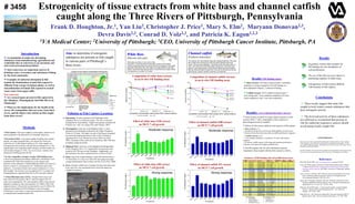 Estrogenicity of tissue extracts from white bass and channel catfish
caught along the Three Rivers of Pittsburgh, Pennsylvania
Frank D. Houghton, Jr.1, Yan Liu2, Christopher J. Price1, Mary S. Elm2, Maryann Donovan2,3,
Devra Davis2,3, Conrad D. Volz2,3, and Patricia K. Eagon1,2,3
1VA Medical Center; 2University of Pittsburgh; 3CEO, University of Pittsburgh Cancer Institute, Pittsburgh, PA
# 3458
Accumulation of endocrine-disrupting
substances from manufacturing, agricultural and
residential sites in waterways is an enormous and
universal environmental problem.
Such waterways are important sources of
drinking water, recreation, and subsistence fishing
by the local community.
Examples of endocrine disruption in fish
include the feminization of male fish exposed to
effluents from sewage treatment plants, as well as
masculinization of female fish exposed to treated
waste water from paper mills.
Introduction
Our concerns:
Are xenoestrogens present in fish captured in
the Allegheny, Monongahela, and Ohio Rivers in
Pittsburgh?
What are the implications for the health of the
rivers, the communities that use water from these
rivers, and the fishers who subsist on fish caught
from these rivers?
labeled E2. Fish tissue extracts were tested at dilutions of 1/20 to
full-strength. The mixtures were incubated at 4°C overnight, and
bound ligand was separated from free by P6 resin spin columns.
• Cell proliferation assay (CPA): Human breast cancer cell
lines used were ER-positive MCF-7 and ER-negative BT-20.
Cells were incubated for 72h with estradiol (1nM) or fish extracts
diluted in medium to final concentrations of 1/4000-1/100 of the
original extracts. Cell growth was detected by use of CellTiter 96
Aqueous One Solution Cell Proliferation Assay (Promega).
Proliferation in test wells is expressed compared to proliferation
in untreated and estradiol-treated cells.
Methods
• Fish Capture: Fish were caught by local anglers, placed on ice,
and transported to the laboratory for immediate dissection.
• Extraction of fish: a one-gram sample including skin, muscle,
and fat, was taken perpendicular to the lateral line from each
white bass (n=7) and channel catfish (n=21). Each sample was
homogenized and extracted with chloroform:methanol (9:1). The
organic phase was evaporated under nitrogen, and the residue was
stored under nitrogen at -20°C. For use in assays, residues were
dissolved in EtOH:glycerol (70:30).
• In vitro competitive estrogen receptor (ER) binding assay:
Cytosol was prepared from mature rabbit uteri, and aliquots were
incubated with 5nM [3H]-estradiol (E2) in the absence and
presence of test substances. Diethylstilbestrol (DES) was used as a
positive control in concentrations of 1-10,000 times that of the
White BassWhite Bass
(Morone chrysops)
White bass are silvery in color with a milky
white belly. In Pennsylvania the white bass is native to the western
counties, especially Lake Erie and the Ohio River watershed. They prefer
large open clear water with a firm bottom and water depths of less than
30 feet. Adult white bass feed primarily on small fishes and larger insects.
Life expectancy is usually 3 to 5 years.
Competition of white bass extracts
in an in vitro ER binding assay
PercentofControl
0 1xDES; 1/20 100xDES; 1/5 10000xDES; 1/1
Competitor concentration (fold excess DES; extract dilution)
0
25
50
75
100
125
Fish # 77
Fish # 13
Fish # 44
Fish # 120
Fish # 5
Fish # 40
DESControl (No competitor)
Effect of white bass #120 extract
on MCF-7 cell growth
0.0
0.5
1.0
1.5
2.0
2.5
ProliferationIndex
Untreated
E 2
Control
1/4000
1/3000
1/2000
1/1500
1/1000
1/500
1/200
1/100
Treatment
Moderate response
Effect of white bass #40 extract
on MCF-7 cell growth
0.0
0.5
1.0
1.5
2.0
2.5
ProliferationIndex
Untreated
E 2
Control
1/4000
1/3000
1/2000
1/1500
1/1000
1/500
1/200
1/100
Treatment
Strong response
Effect of channel catfish #47 extract
on MCF-7 cell growth
0.0
0.5
1.0
1.5
2.0
2.5
ProliferationIndex
Untreated
E 2
Control
1/4000
1/3000
1/2000
1/1500
1/1000
1/500
1/200
1/100
Treatment
Strong response
Channel catfishChannel catfish
(Ictalurus punctatus)
The channel “cat” has a slender body with a deeply forked tail. The upper
jaw is longer than the lower jaw, with long, black barbels around the
mouth. They are found statewide. They prefer areas with deep water, i.e.
clear, warm lakes and moderately large to large rivers, with clean sand,
gravel or rock-rubble bottoms. Adult channel catfish are bottom feeders
that use smell and taste to locate food. They are omnivorous and will eat
insect larvae, crayfish, mollusks, small fish, and dead fish.
Competition of channel catfish extracts
in an in vitro ER binding assay
PercentofControl
0
25
50
75
100
125
Fish # 35
Fish # 100
Fish # 61
Fish # 94
Fish # 132
Fish # 87
0 1xDES; 1/20 100xDES; 1/5 10000xDES; 1/1
Competitor concentration (fold excess DES; extract dilution)
DESControl (No competitor)
Effect of channel catfish #100 extract
on MCF-7 cell growth
0.0
0.5
1.0
1.5
2.0
2.5
ProliferationIndex
Untreated
E 2
Control
1/4000
1/3000
1/2000
1/1500
1/1000
1/500
1/200
1/100
Treatment
Moderate response
Results: ER binding assays
Bass extracts: Of 6 bass extracts tested, 4 exhibited
moderate or strong competition for ER binding in a
dose-dependent manner; 2 enhanced binding.
Catfish extracts: Of 21 catfish extracts tested, 2
were strong and 7 were moderate competitors,10 were
weak competitors, and 1 was non-competitive.
ER binding assay:
- no competition
-/+ weak competition
+ moderate competition
++ strong competition
↑ enhancement of binding
Cell proliferation assay:
- no response
-/+ weak response
+ moderate response
++ strong response
location
code
Catch Location Species
Fish
ID#
Sex
ER Binding
Assay
MCF-7
Response
BT20
Response
1 Kittanning Channel Catfish 36 Female + - -
1 Kittanning Channel Catfish 35 Female -/+ - -
1 Kittanning Channel Catfish 94 Male + - -
1 Kittanning Channel Catfish 85 Male + -/+ -
1 Kittanning Channel Catfish 37 Male -/+ -/+ -
1 Kittanning Channel Catfish 38 Unknown -/+ -/+ -
2 Monongahela White Bass 40 Female ++ ++ -
2 Monongahela White Bass 44 Male -/+ - -
2 Monongahela White Bass 77 Unknown - -
2 Monongahela Channel Catfish 75 Female - - -
2 Monongahela Channel Catfish 46 Female -/+ -/+ -
2 Monongahela Channel Catfish 87 Male ++ -/+ -
2 Monongahela Channel Catfish 41B Male -/+ -/+ -
2 Monongahela Channel Catfish 47 Male -/+ ++ -
2 Monongahela Channel Catfish 76 Unknown + + -
3 Highland Park White Bass 9 Unknown ND - -
3 Highland Park White Bass 5 Unknown + - -
3 Highland Park White Bass 13 Unknown - -
3 Highland Park Channel Catfish 61 Female + -/+ -
3 Highland Park Channel Catfish 62 Male -/+ - -
3 Highland Park Channel Catfish 64 Male -/+ -/+ -
4 Point Channel Catfish 68 Female -/+ + -
4 Point Channel Catfish 100 Male + + -
4 Point Channel Catfish 69 Male -/+ -/+ -
4 Point Channel Catfish 78 Unknown ++ + -
5 Store White Bass 120 Male + + -
5 Store Channel Catfish 138 Unknown + - -
5 Store Channel Catfish 132 Unknown ++ -/+ -
Summary of ER binding and cell proliferation assays
Results: CELL PROLIFERATION ASSAYS
• Some extracts resulted in strong cellular responses in ER-
positive MCF-7 cells, comparable to their response to
physiological levels of estradiol.
• Effects of fish extracts differed with location of fish capture:
Bass extracts (n=7):
• 2 produced cell growth: one from the Monongahela, one from store.
• Extracts of bass from other sites did not exhibit proliferative responses.
Catfish extracts (n=21):
• 1 was strongly stimulatory, 4 moderate, 10 weak, and 6 had no
response.
• Of interest, catfish extracts with strong and moderate proliferative
responses were from fish caught at polluted sites.
• The ER-negative BT-20 cells exhibited no growth
stimulation when treated with the fish extracts or with E2.
Acknowledgements
This study is part of the Community Based Participatory Research Project. Partners include
Venture Outdoors, Clean Water Action, Bassmasters, and individual local anglers. All fish
were caught by angler participants. Information derived from this study will be shared with all
participants and the general public.
The DSF Charitable Trust and The Heinz Foundation provided funding for this project through
the Center for Environmental Oncology (CEO), University of Pittsburgh Cancer Institute.
Results
In general, extracts that compete for
ER binding are also stimulators of
cell proliferation.
The sex of the fish was not a factor in
predicting response in either assay.
Estrogenicity of fish extracts differed
with location of fish capture.
Conclusions
These results suggest that some fish
caught in local waters contain substances that
have estrogenic activity.
The level and activity of these substances
are sufficient to recommend that persons at
risk for endocrine-responsive cancers should
avoid eating locally caught fish.
References
EPA TRI DATA-2005, http://www.epa.gov/tri/, accessed 3/25/07.
Volz, CD, Water quality problems in Southwestern Pennsylvania in Miller,
T. Editor, Regional water management in Southwestern Pennsylvania:
Moving toward a solution. July 2006, University of Pittsburgh, Institute
of Politics.
Volz, CD and C Christen, 2007. Why are water recreationalists most at risk
from waterborne infectious disease? Journal of Occupational and
Environmental Medicine. 49(1):104-105.
Eagon, PK, N Chandar, MJ Epley, MS Elm, EP Brady and KN Rao: Di(2-
ethylhexyl)phthalate-induced changes in liver estrogen metabolism and
hyperplasia. Int. J. Cancer 58: 736-743, 1994.
Rogerson, BJ and PK Eagon: A male-specific hepatic estrogen binding
protein: Characteristics and binding properties. Arch. Biochem.
Biophys. 250: 70-85, 1986.
Duda, RB et al.: pS2 Expression Induced by American Ginseng in MCF-7
Breast Cancer Cells. Annals of Surgical Oncology 3: 515-520, 1996.
Local anglers
Aim:Aim: to determine if estrogenic
substances are present in fish caught
in various parts of Pittsburgh’s
three rivers.
Monongahela River
near the U. S. Steel
Edger Thompson
Works
Highland Park
Locations of Fish Capture in Southwestern Pennsylvania
Point State Park
Kittanning,
Armstrong County
4) Point: Catch site is approximately 2 miles downstream from a
US Steel Plant. It is near over 100 CSOs and aging municipal
sewage infrastructures that overflow into the rivers (Volz, 2006).
5) Store: Channel catfish from a Georgia fish farm and white bass
from Lake Erie were purchased from a local fish market for
comparison purposes.
1) Kittanning: 36 miles upstream from Pittsburgh on the
Allegheny River in Armstrong county. This site is relatively
unimpaired by local industry. Angler focus groups consider fish
from this site “safe” for eating (Volz and Christen, 2007).
2) Monongahela: Catch site at the Braddock Dam, 11 miles
upstream from Pittsburgh, bordered by the Edger Thompson
Works of US Steel. This plant was part of the largest integrated
iron and steel making operations in the world. It remains a
significant EPA Toxic Release Inventory (TRI) site (EPA,
2007). Upstream of this catch site are numerous other TRI sites,
including coking operations.
3) Highland Park: Catch site at the Highland Park Bridge/Dam,
on the Allegheny River. It is significantly downstream of the
relatively few TRI sites on the Allegheny. Additionally, it is
downstream of far fewer combined sewer overflows (CSO).
Pollution at Fish Capture Locations
 