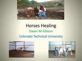 Horses Healing
Dawn M Gibson
Colorado Technical University
 