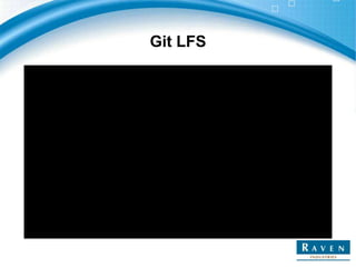 Git LFS
 