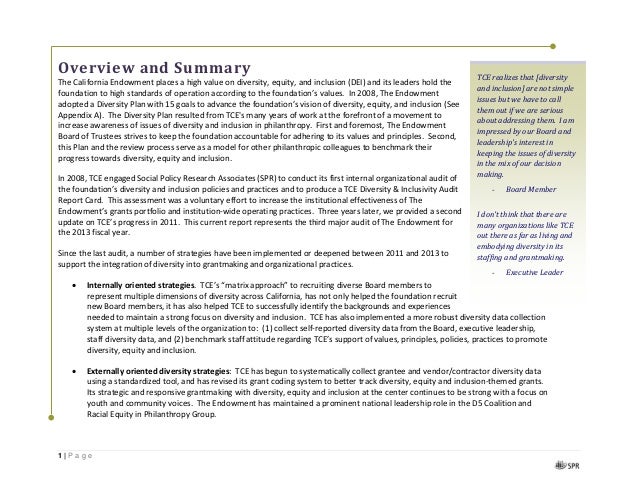 Tce Diversity Audit 2013