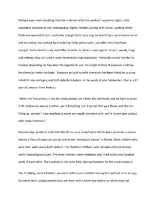 Perhaps even more troubling than the violation of female workers’ economic rights is the
consistent violation of their reproductive rights. Females, (along with males), working in the
fields are exposed to toxic pesticides through direct spraying, by breathing in pesticide in the air
and by coming into contact by re-entering fields prematurely, just after they have been
sprayed. Such chemicals are used often in order to protect crops against insects, weeds, fungi
and rodents; they are used in order to increase crop production. Pesticides can be harmful to
humans depending on how toxic the ingredients are, the length of time of exposure and how
the chemicals enter the body. Exposure to such harmful chemicals has been linked to causing
infertility, miscarriages, and birth defects in babies. In the words of one fieldworker, Gloria, a 37
year old woman from Mexico:
“When the fruit arrives, it has the white powder on it from the chemicals, and we have to clean
it off. And in one way or another, we’re breathing it in. You feel that your throat and chest is
filling up. We don’t have anything to cover our mouth and nose with. We’re in constant contact
with those chemicals.”
Reproductive problems and birth defects are very real physical effects from pesticide exposure.
Serious effects of exposure can be seen in the ‘Immokalee babies’ in Florida, three children who
were born with severe birth defects. The children’s mothers were all exposed to pesticides
while harvesting tomatoes. The three mothers were neighbors who lived within one hundred
yards of each other. They worked in the same field, picking tomatoes for the same company.
The first baby, named Carlitos, was born with a rare condition leaving him without arms or legs.
Six weeks later, a baby named Jesus was born with a lower jaw deformity which required
 