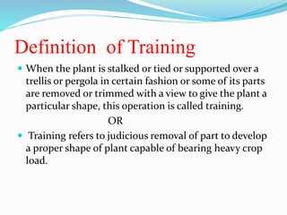 Definition of Training
 When the plant is stalked or tied or supported over a
trellis or pergola in certain fashion or some of its parts
are removed or trimmed with a view to give the plant a
particular shape, this operation is called training.
OR
 Training refers to judicious removal of part to develop
a proper shape of plant capable of bearing heavy crop
load.
 