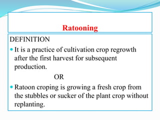 Ratooning
DEFINITION
 It is a practice of cultivation crop regrowth
after the first harvest for subsequent
production.
OR
 Ratoon croping is growing a fresh crop from
the stubbles or sucker of the plant crop without
replanting.
 