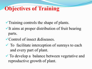 Objectives of Training
Training controls the shape of plants.
It aims at proper distribution of fruit bearing
parts.
Control of insect &diseases.
 To facilitate interception of sunrays to each
and every part of plant.
 To develop a balance between vegetative and
reproductive growth of plant.
 