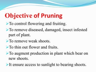 Objective of Pruning
To control flowering and fruiting.
To remove diseased, damaged, insect infested
part of plant.
To remove weak shoots.
To thin out flower and fruits.
To augment production in plant which bear on
new shoots.
It ensure access to sunlight to bearing shoots.
 