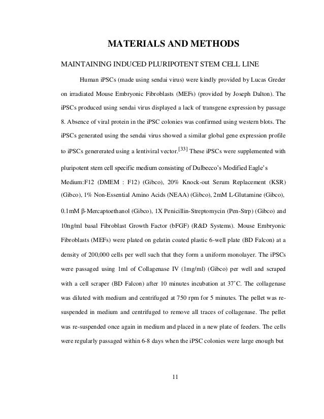 Western blot protocol thesis