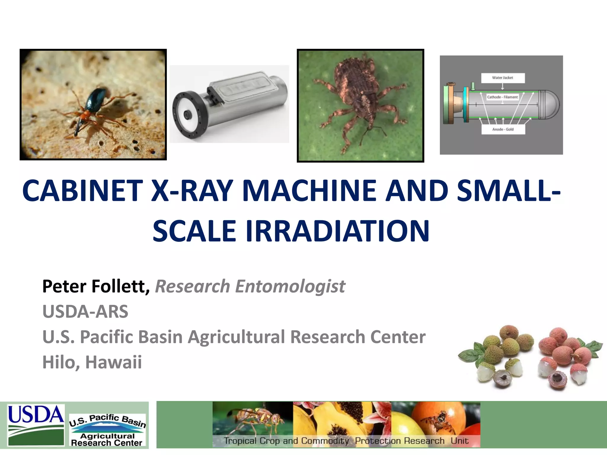 Slide 1