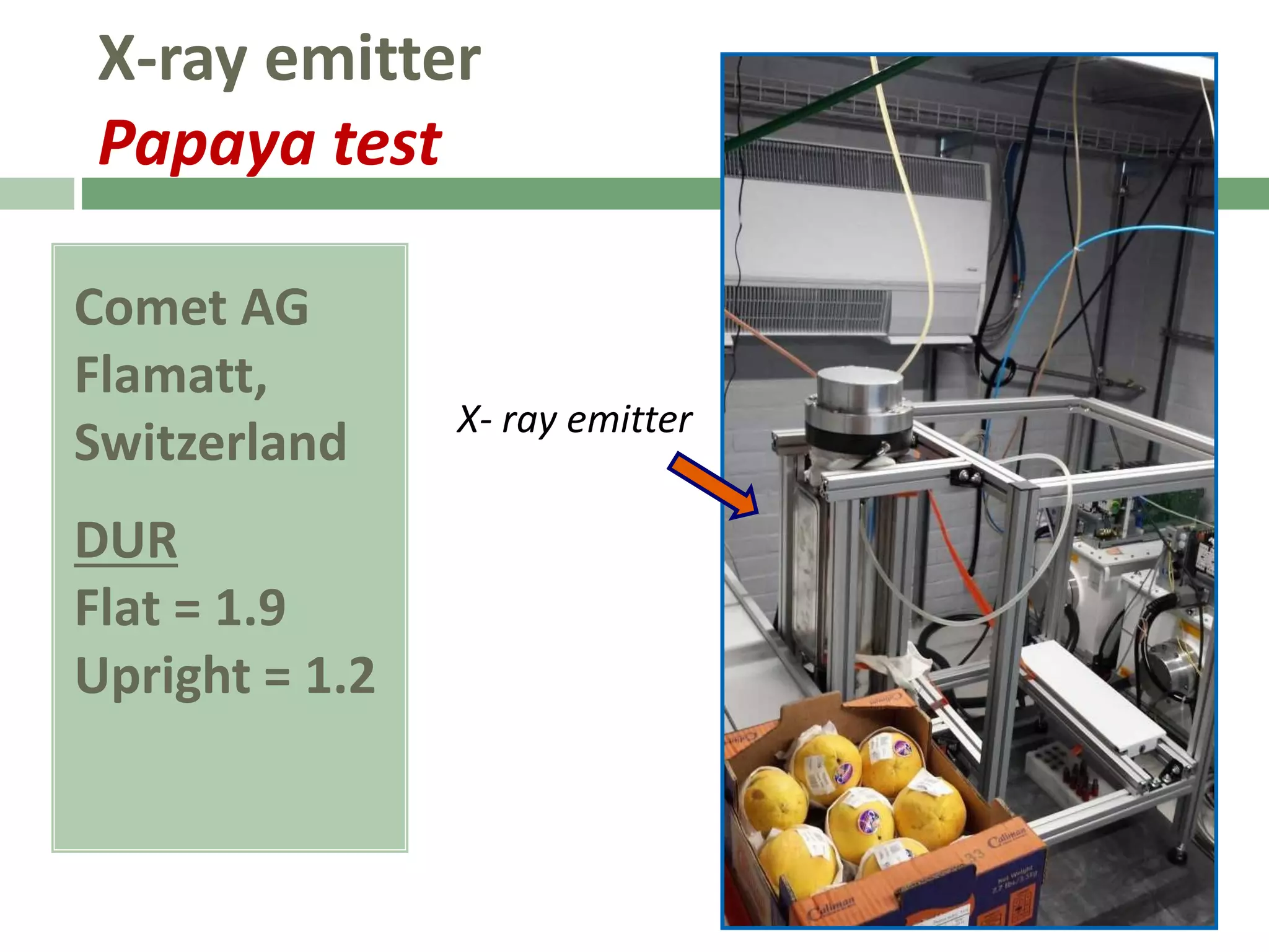 Slide 10