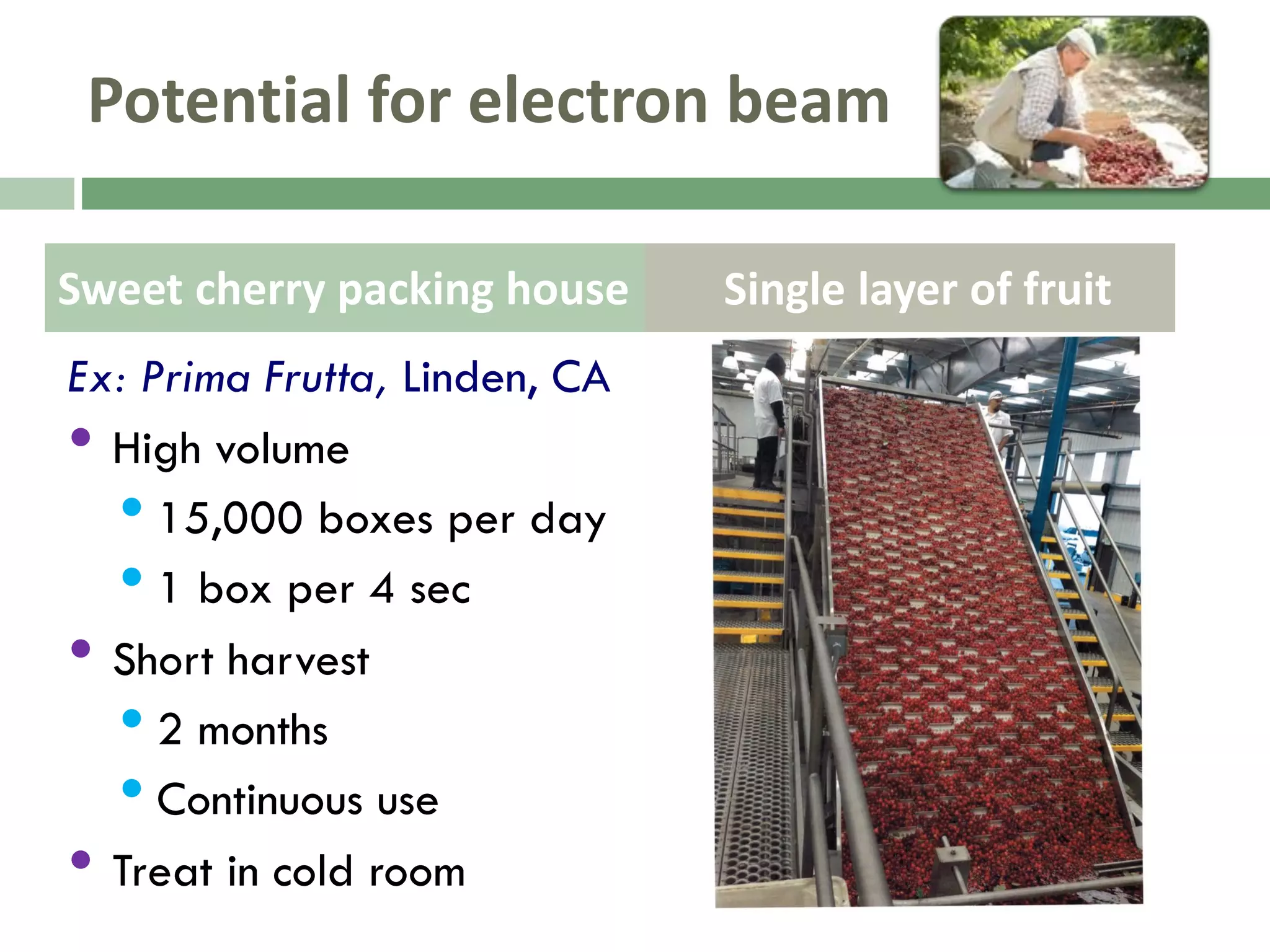 Slide 16