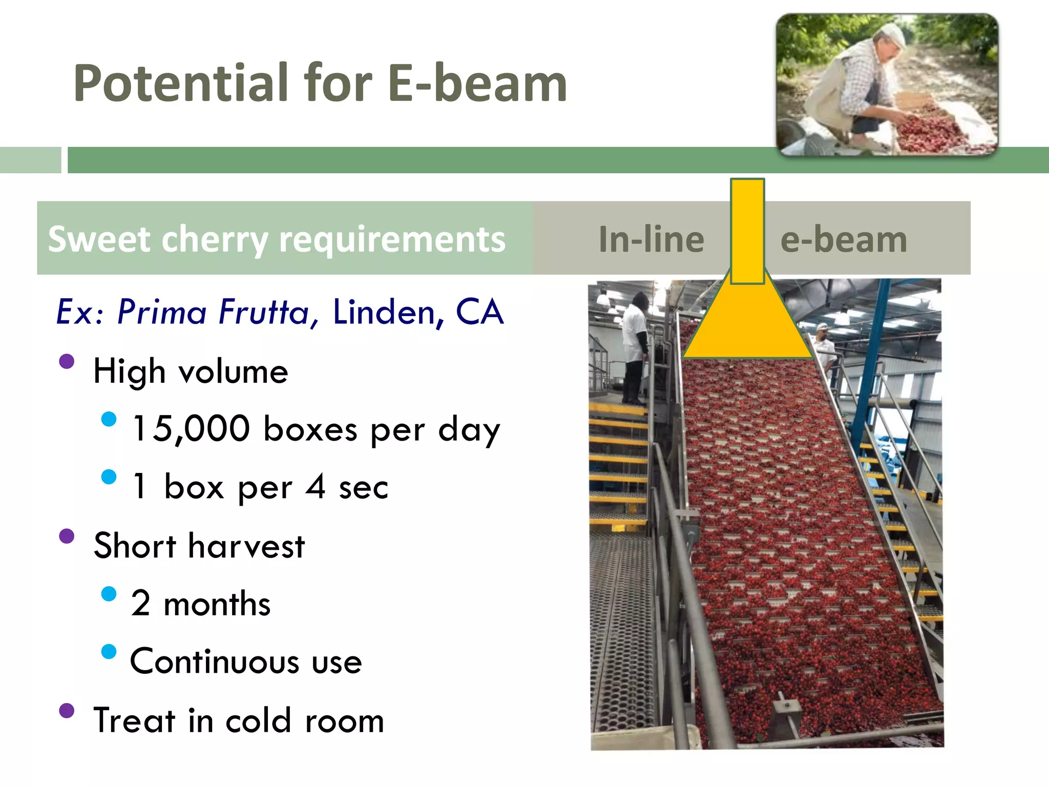 Slide 17