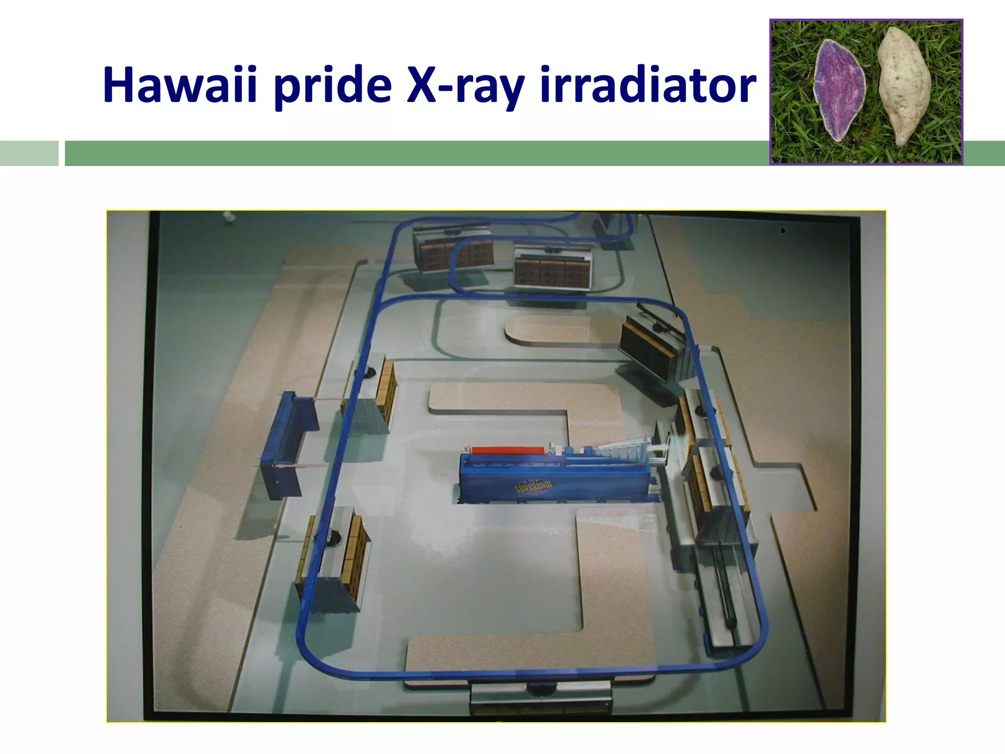 Slide 3
