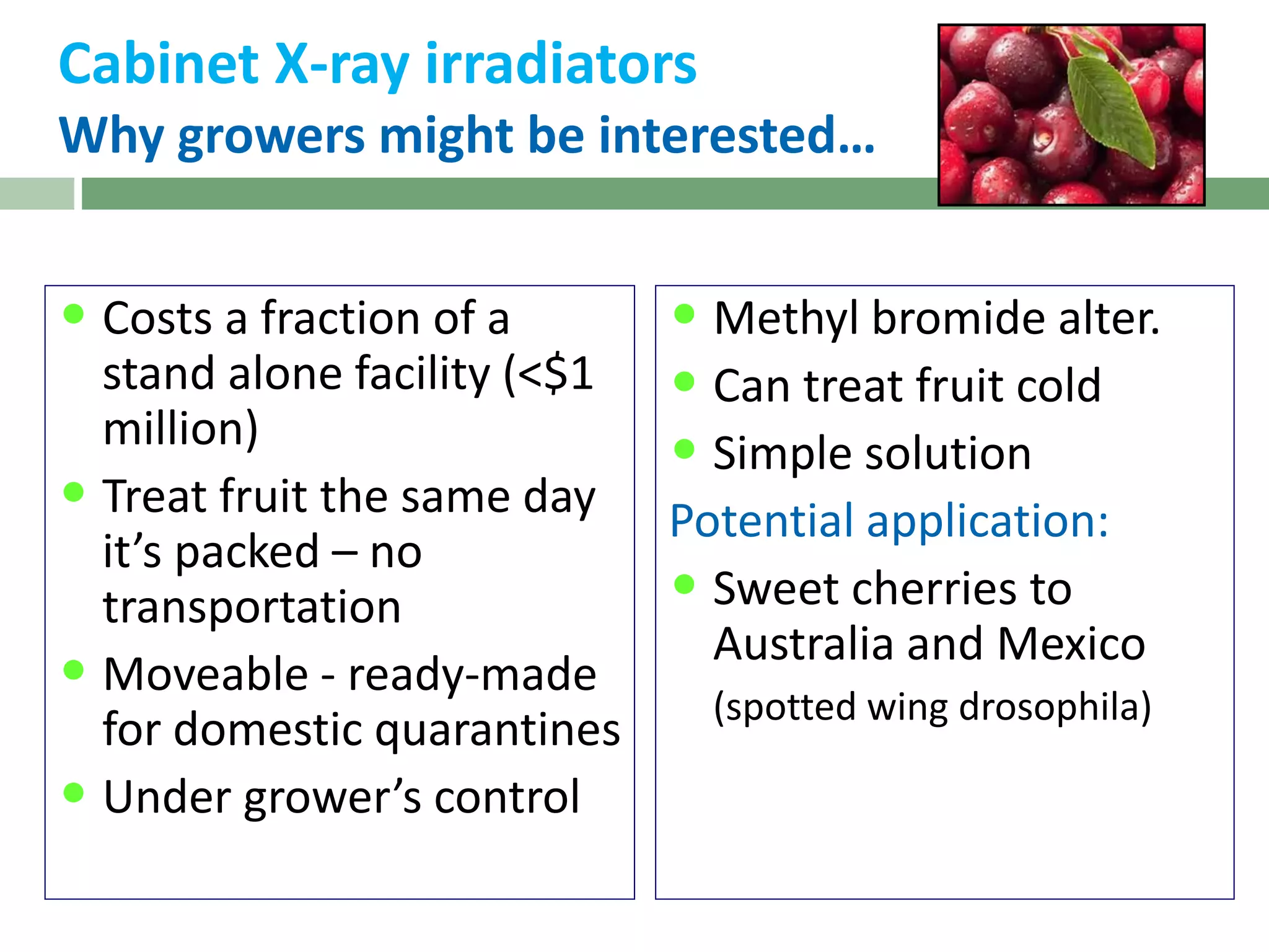 Slide 5