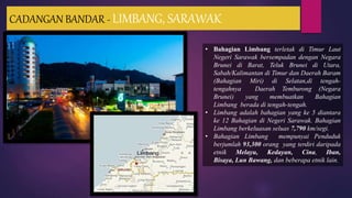 CADANGAN BANDAR - LIMBANG, SARAWAK
• Bahagian Limbang terletak di Timur Laut
Negeri Sarawak bersempadan dengan Negara
Brunei di Barat, Teluk Brunei di Utara,
Sabah/Kalimantan di Timur dan Daerah Baram
(Bahagian Miri) di Selatan,di tengah-
tengahnya Daerah Temburong (Negara
Brunei) yang membuatkan Bahagian
Limbang berada di tengah-tengah.
• Limbang adalah bahagian yang ke 5 diantara
ke 12 Bahagian di Negeri Sarawak. Bahagian
Limbang berkeluasan seluas 7,790 km/segi.
• Bahagian Limbang mempunyai Penduduk
berjumlah 93,300 orang yang terdiri daripada
etnik Melayu, Kedayan, Cina, Iban,
Bisaya, Lun Bawang, dan beberapa etnik lain.
 