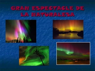 GRAN ESPECTACLE DE
LA NATURALESA

 