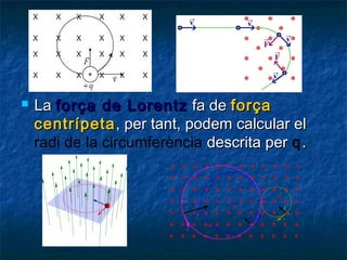 

La força de Lorentz fa de força
centrípeta , per tant, podem calcular el
radi de la circumferència descrita per q .

 