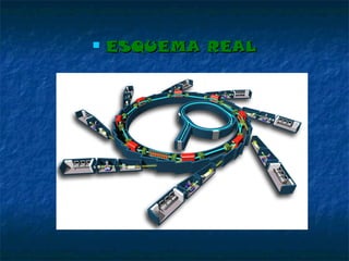 

ESQUEMA REAL

 