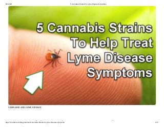 8/2/2020 5 Cannabis Strains For Lyme Disease Symptoms
https://cannabis.net/blog/medical/5-cannabis-strains-for-lyme-disease-symptoms 2/17
CANNABIS AND LYME DISEASE
bi i i
 