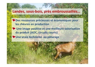 35èmes Journées Techniques Caprines – 31 mars et 1er avril 2015
Des ressources précieuses et économiques pour
les chèvres en production
Une image positive et une meilleure valorisation
du produit (AOC, circuits courts)
Une vraie technicité au pâturage
Landes, sous-bois, prés embroussaillés…
 