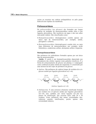 116 •   Motta • Bioquímica



                             serina ou treonina nas cadeias polipeptídicas ou pelo grupo
                             hidroxila dos lipídeos de membrana.


                             Polissacarídeos
                             Os polissacarídeos (ou glicanos) são formados por longas
                             cadeias de unidades de monossacarídeos unidas entre si por
                             ligações glicosídicas. São insolúveis em água e não tem sabor
                             nem poder redutor. São classificados como:
                             • Homopolissacarídeos (homoglicanos) contêm apenas um
                               único tipo de monossacarídeo, por exemplo, amido,
                               glicogênio e celulose.
                             • Heteropolissacarídeos (heteroglicanos) contêm dois ou mais
                               tipos diferentes de monossacarídeos, por exemplo, ácido
                               hialurônico, condroitina sulfato, dermatana sulfato e heparina.

                             Homopolissacarídeos
                             São polímeros de carboidratos formados apenas por um único
                             tipo de monossacarídeo.
                               Amido. O amido é um homopolissacarídeo depositado nos
                             cloroplastos das células vegetais como grânulos insolúveis. É a
                             forma de armazenamento de glicose nas plantas e é empregado
                             como combustível pelas células do organismo. É constituído por
                             uma mistura de dois tipos de polímeros da glicose:
                             • Amilose. São polímeros de cadeias longas de resíduos de α- D -
                               glicose unidos por ligações glicosídicas α(1→4).

                                           CH2OH                CH2OH                CH2 OH               CH2 OH
                                                O                    O                    O                    O
                             ---       4
                                           OH       1       4
                                                                OH       1       4
                                                                                     OH       1       4
                                                                                                          OH       1       --
                                   O                    O                    O                    O                    O

                                                OH                   OH                   OH                   OH


                                                        Amilose, ligações α(1→4)

                             • Amilopectina. É uma estrutura altamente ramificada formada
                               por resíduos de α- D -glicose unidos por ligações glicosídicas
                               α(1→4), mas, também, por várias ligações α(1→6) nos
                               pontos de ramificação, que ocorrem entre cada 24 e 30
                               resíduos. Esses polímeros têm tantas extremidades não-
                               redutoras quantas ramificações, porém apenas uma
                               extremidade redutora.
 