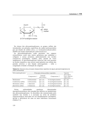 Carboidratos   • 119




  Na síntese dos glicosaminoglicanos, os grupos sulfato são
introduzidos em posições específicas da cadeia polissacarídica
por um doador de sulfato ativo, o 3´-fosfoadenosilfosfosulfato
(PAPS) em reação catalisada por sulfotransferases.
  Os glicosaminoglicanos estão presentes nos espaços
extracelulares como uma matriz gelatinosa que embebem o
colágeno e outras proteínas, particularmente nos tecidos
conjuntivos (cartilagens, tendões, pele, parede de vasos
sangüíneos). O glicosaminoglicano heparina não está presente
no tecido conjuntivo, mas ocorre como grânulos nas células das
paredes arteriais e tem função anticoagulante – inibe a
coagulação evitando a formação de coágulos.

Tabela 5.2. Estrutura dos principais dissacarídeos repetidos de alguns glicosaminoglicanos da
matriz extracelular

Glicosaminoglicanos                Principais dissacarídeos repetidos              Ligação
                                                                                   glicosídica
                                            Ligação                                entre dímeros
                         Componente 1                         Componente 2
                                           glicosídica                             adjacentes
Hialuronato             D -Glicuronato     β(1→3)        N-Acetilglicosamina       β(1→4)
Condroitina sulfato     D -Glicuronato     β(1→3)        N-Acetilgalactosamina     β(1→4)
Dermatana sulfato       L -Iduronato       α(1→3)        N-Acetilgalactosamina     β(1→4)
Queratona sulfato       D -Galactose       β(1→4)        N-Acetilglicosamina       β(1→3)

  Várias       enfermidades       genéticas       denominadas
mucopolissacaridoses são causadas por defeitos no metabolismo
dos glicosaminoglicanos. As desordens são caracterizadas pelo
acúmulo nos tecidos e a excreção na urina de produtos
oligossacarídicos derivados do seu desdobramento incompleto,
devido a deficiência de uma ou mais hidrolases lisossomais
(Tabela 5.3).


119
 