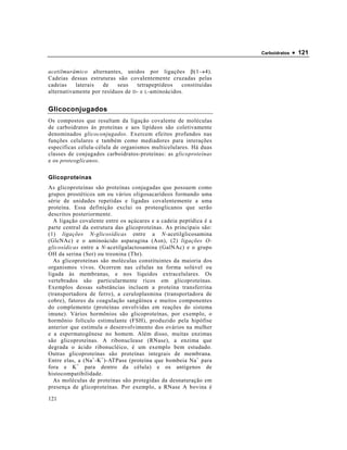 Carboidratos   • 121


acetilmurâmico alternantes, unidos por ligações β(1→4).
Cadeias dessas estruturas são covalentemente cruzadas pelas
cadeias    laterais  de    seus     tetrapeptídeos   constituídas
alternativamente por resíduos de D - e L -aminoácidos.


Glicoconjugados
Os compostos que resultam da ligação covalente de moléculas
de carboidratos às proteínas e aos lipídeos são coletivamente
denominados glicoconjugados. Exercem efeitos profundos nas
funções celulares e também como mediadores para interações
específicas célula-célula de organismos multicelulares. Há duas
classes de conjugados carboidratos-proteínas: as glicoproteínas
e os proteoglicanos.

Glicoproteínas
As glicoproteínas são proteínas conjugadas que possuem como
grupos prostéticos um ou vários oligosacarídeos formando uma
série de unidades repetidas e ligadas covalentemente a uma
proteína. Essa definição exclui os proteoglicanos que serão
descritos posteriormente.
  A ligação covalente entre os açúcares e a cadeia peptídica é a
parte central da estrutura das glicoproteínas. As principais são:
(1) ligações N-glicosídicas entre a N-acetilglicosamina
(GlcNAc) e o aminoácido asparagina (Asn), (2) ligações O-
glicosídicas entre a N-acetilgalactosamina (GalNAc) e o grupo
OH da serina (Ser) ou treonina (Thr).
  As glicoproteínas são moléculas constituintes da maioria dos
organismos vivos. Ocorrem nas células na forma solúvel ou
ligada às membranas, e nos líquidos extracelulares. Os
vertebrados são particularmente ricos em glicoproteínas.
Exemplos dessas substâncias incluem a proteína transferrina
(transportadora de ferro), a ceruloplasmina (transportadora de
cobre), fatores da coagulação sangüínea e muitos componentes
do complemento (proteínas envolvidas em reações do sistema
imune). Vários hormônios são glicoproteínas, por exemplo, o
hormônio folículo estimulante (FSH), produzido pela hipófise
anterior que estimula o desenvolvimento dos ovários na mulher
e a espermatogênese no homem. Além disso, muitas enzimas
são glicoproteínas. A ribonuclease (RNase), a enzima que
degrada o ácido ribonucléico, é um exemplo bem estudado.
Outras glicoproteínas são proteínas integrais de membrana.
Entre elas, a (Na + -K + )-ATPase (proteína que bombeia Na + para
fora e K + para dentro da célula) e os antígenos de
histocompatibilidade.
  As moléculas de proteínas são protegidas da desnaturação em
presença de glicoproteínas. Por exemplo, a RNase A bovina é

121
 
