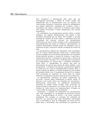 122 •   Motta • Bioquímica



                             mais susceptível a desnaturação pelo calor que sua
                             contrapartida glicosilada, a RNase B. Vários estudos têm
                             demonstrado que as glicoproteínas ricas em açúcares são
                             relativamente resistentes à proteólise (quebra de polipeptídeos
                             por reações hidrolíticas catalisadas por enzimas). Como o
                             carboidrato está sobre a superfície da molécula, pode formar
                             uma cápsula envolvendo a cadeia polipeptídica das enzimas
                             proteolíticas.
                               Os carboidratos nas glicoproteínas parecem afetar a função
                             biológica. Em algumas glicoproteínas, essa função é mais
                             facilmente discernida que em outras. Por exemplo, o elevado
                             conteúdo de resíduos de ácido siálico é responsável pela alta
                             viscosidade das mucinas salivares (as glicoproteínas
                             lubrificantes da saliva). Outro exemplo é são as glicoproteínas
                             anticongelamento dos peixes da Antártica. Aparentemente, os
                             resíduos dissacarídicos formam pontes de hidrogênio com as
                             moléculas de água. O processo retarda a formação de cristais de
                             gelo.
                               As glicoproteínas também são importantes como mediadores
                             para os eventos célula-molécula, célula-vírus e célula-célula.
                             Um dos exemplos do envolvimento glicoprotéico nas interações
                             célula-molécula incluem o receptor de insulina, o qual liga a
                             insulina para facilitar o transporte de glicose para o interior de
                             numerosas células. Em parte, isso é realizado pelo recrutamento
                             de transportadores de glicose para a membrana plasmática.
                             Além disso, o transportador de glicose que atua no
                             deslocamento da glicose para dentro da célula também é uma
                             glicoproteína. A interação entre gp120, a glicoproteína ligadora
                             na célula-alvo do vírus da imunodeficiência humana (HIV, o
                             agente causador da AIDS) e as células hospedeira é um exemplo
                             da interação célula-vírus. O acoplamento do gp120 ao receptor
                             CD4 encontrado na superfície de vários tipos de células
                             humanas é considerada a primeira etapa no processo infeccioso.
                               As glicoproteínas estruturais da célula, componentes do
                             glicocálix, exercem papel fundamental na adesão celular. O
                             processo é um evento crítico nas interações do crescimento e
                             diferenciação célula-célula. As substâncias denominadas
                             moléculas de adesão celular (CAMs) estão envolvidas no
                             desenvolvimento embrionário do sistema nervoso do rato. Os
                             resíduos de ácido siálico nos oligossacarídeos N-ligados de
                             várias CAMs são importantes nesse fenômeno.
                               Atualmente, o conteúdo de carboidratos nas glicoproteínas
                             está sendo empregado na investigação de processos normais
                             como o desenvolvimento de nervos e de certos processos
                             patológicos. Por exemplo, as variações nos conteúdos de
                             galactose nos anticorpos IgG estão diretamente relacionadas
                             com a severidade (o grau de inflamação) da artrite juvenil.
                             Além disso, a distribuição dos carboidratos de superfície em
 