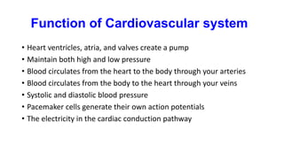 Function of Cardiovascular system
• Heart ventricles, atria, and valves create a pump
• Maintain both high and low pressure
• Blood circulates from the heart to the body through your arteries
• Blood circulates from the body to the heart through your veins
• Systolic and diastolic blood pressure
• Pacemaker cells generate their own action potentials
• The electricity in the cardiac conduction pathway
 